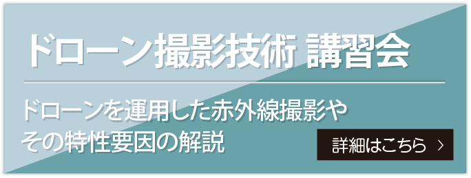 ステップドローン